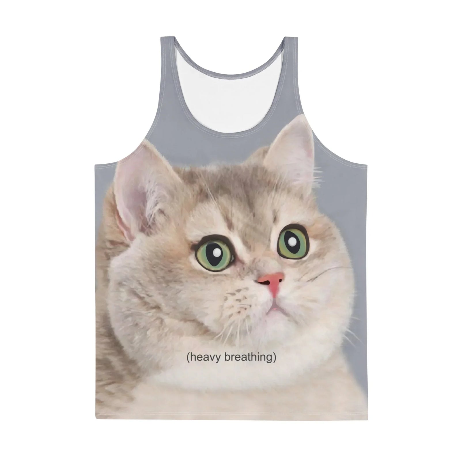 A photorealistic, oversized portrait of a chubby and anxious cat dominates the cool slate grey background. Contact us with accessibility feedback, we'd love to help!