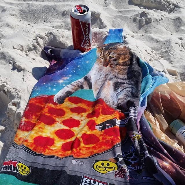 Indie Spacecat Men's Tank - Shirtwascash