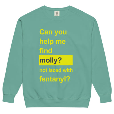Help Me Find Molly Sweatshirt - Shirtwascash